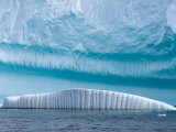 Iceberg  Western Antarctic Peninsula  Antarctica