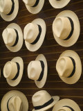 Traditional Panama Hats  Cuenca  Ecuador
