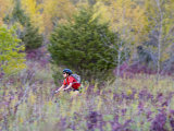Mountain biking on the Murphy Hanrehan Trails near Minneapolis  Minnesota  USA