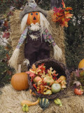 Halloween Decoration  Hill Country  Texas  USA
