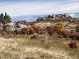 Grayson Highlands State Park  Virginia  USA