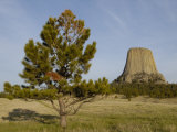 Devils Tower National Monument  East Wyoming  USA