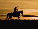 Cowboy on Horses on Hideout Ranch  Shell  Wyoming  USA