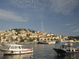 Fishing boats in harbor  Hvar Town  Hvar Island  Dalmatia  Croatia