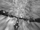 Cruising down a buff section of singletrack trail  West Glacier  Montana  USA