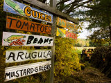 A farm stand in Holderness  New Hampshire  USA