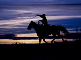 Cowboy on Horses on Hideout Ranch  Shell  Wyoming  USA