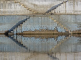 Steps mirrored on small lake  Jodhpur  India
