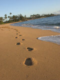 Kapa'a Beachfront  Kauai  Hawaii  USA