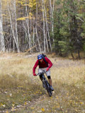 Mountain Biker  Whitefish  Montana  USA