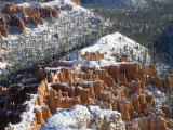 Pillars of Limestone at Bryce Canyon National Park  Utah  USA