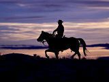 Cowboy on Horses on Hideout Ranch  Shell  Wyoming  USA