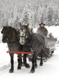 Winter Sleigh Ride  Lake Louise  Alberta  Canada