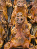 Roast Pigs For Sale  Saquisili  Ecuador