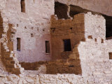 Cliff Palace Dwelling  Mesa Verde National Park  Colorado  USA