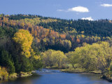 Fall along the Connecticut River in Colebrook  New Hampshire  USA