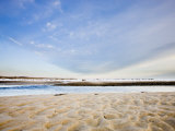 Patterns in the sand at the Shifting Lots Preserve in Plymouth  Massachusetts  USA