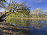 The Connecticut River in Maidstone  Vermont  USA