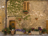 Montefollonico  Val D'Orcia  Siena Province  Tuscany  Italy