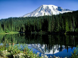 Mt Rainier Reflected in Reflection Lake  Washington  USA