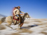 Cowboy on Horses on Hideout Ranch  Shell  Wyoming  USA