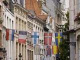 Flag  Brussels  Belgium