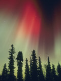 Aurora Borealis  Fairbanks Area  Alaska  USA