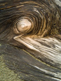 Stump Pattern on Beach