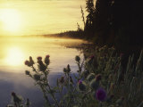 Lac Lejuene  Kamloops  British Columbia  Canada
