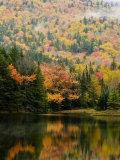 Ammonoosuc Lake in fall  White Mountain National Forest  New Hampshire  USA