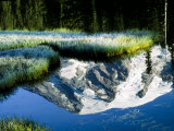 Mt Rainier Reflected in Reflection Lake  Washington  USA