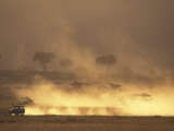 Setting Sun Lights Cloud of Dust  Masai Mara Game Reserve  Kenya