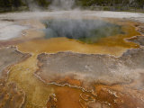 Sulphur Caldron  Yellowstone National Park  Wyoming  USA