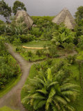 Napo Wildlife Centre Lodge  Aòangu Lake  Yasuni National Park  Ecuador