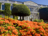 Formal Garden With Azaleas  County Down  Ireland