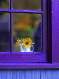 Window with Sunflowers in Vase