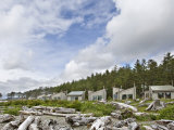 Beach Cabins at Quileute Oceanside Resort  Lapush  Washington  USA
