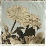 Antiqued Floral and Sky II