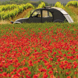 La 2 CV aux Coquelicots
