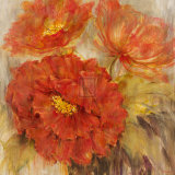 Calypso Reds II