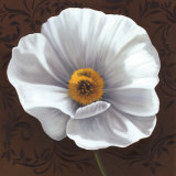 White Poppies I