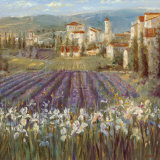 Provencal Village