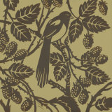 Bird Song IV