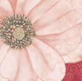 Grandiflora V