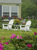 Backyard Along Marginal Way  Ogunquit  Maine  USA