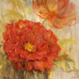 Calypso Reds I