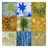 Creation I