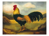 Old English Game Cock