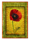 Poppy