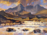 THE CUILLINS FROM SLIGACHAN